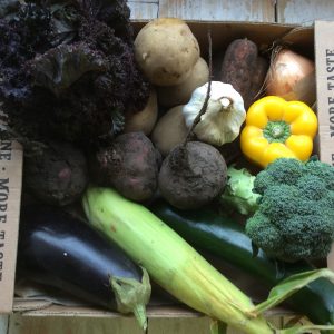 Box filled with seasonal veg